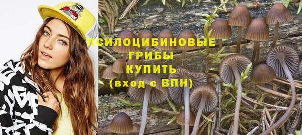 крисы Куйбышев