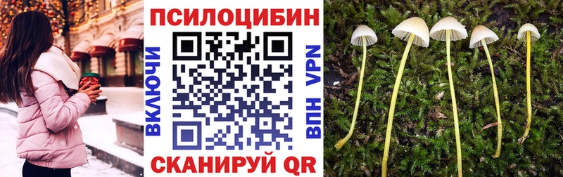 где продают   Лагань  Галлюциногенные грибы Magic Shrooms 
