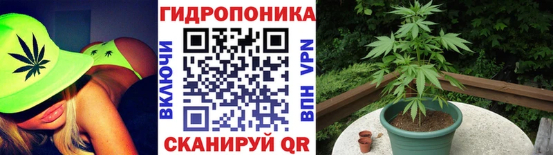 Каннабис марихуана купить сайты площадка состав Лагань
